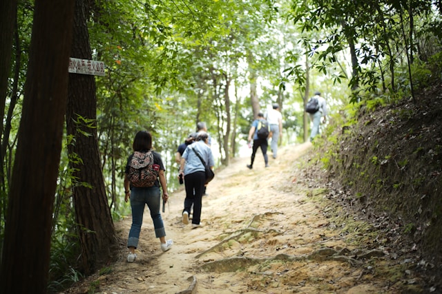 Nexlorevia vybavenie